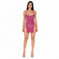 Siren Mini Dress